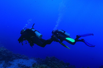 Naklejka na ściany i meble divers underwater the sea
