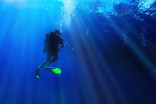 unusual photo diver underwater background