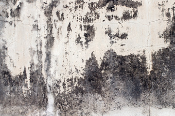 white concrete wall texture