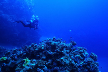 One diver underwater
