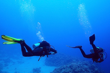 divers underwater the sea