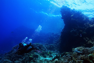 Plakat divers underwater the sea