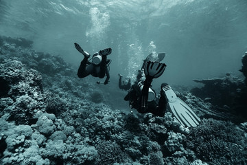 divers in fresh water