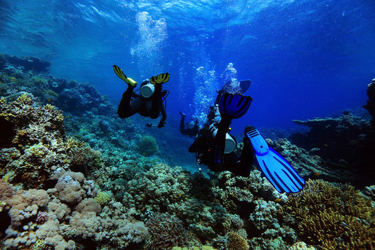 divers underwater the sea