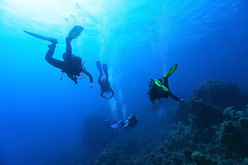 Naklejka na ściany i meble divers underwater the sea