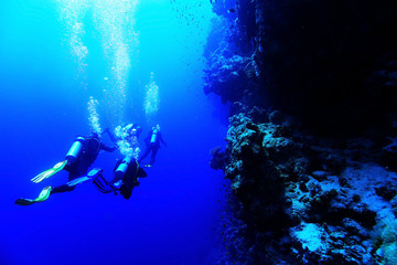 Fototapeta na wymiar group of divers passing exams open water