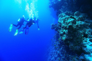 group of divers underwater on a coral reef