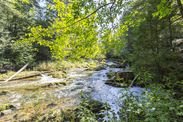 Flowing Mountain Stream on sunny day