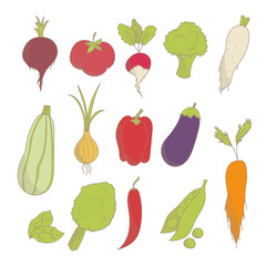 Set of colorful hand drawn sketched vegetables: tomato, onion, beets, zucchini, eggplant, peppers, broccoli, peas, lettuce, carrot