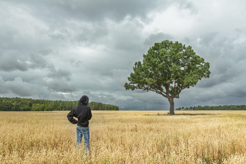 Back view of boy wearing black hooded sweatshirt and blue jeans looking at stunning summer landscape with storm clouds and huge oak tree in oat field