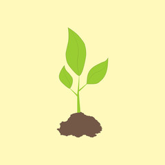 Green Sprout Icon