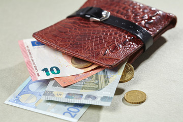 wallet with money