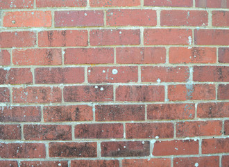 Brick wall texture pattern