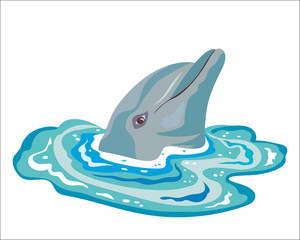 Dolphin in sea water. Funny dolphin head peeps out of the water vector illustration.