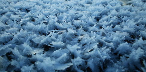 rime snow texture