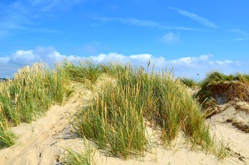 Dünenlandschaft