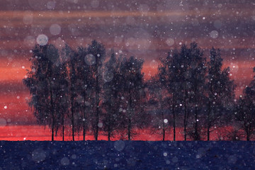 night snowfall trees background