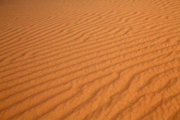 Red sand desert
