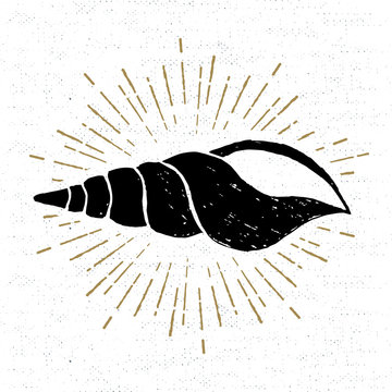 Hand drawn vintage icon with a textured horn seashell vector illustration.