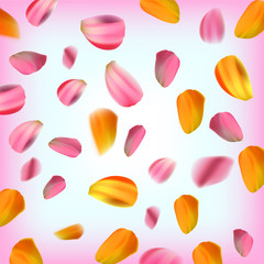 Spring background with falling petals of a tulip, Vector eps 10 illustration.