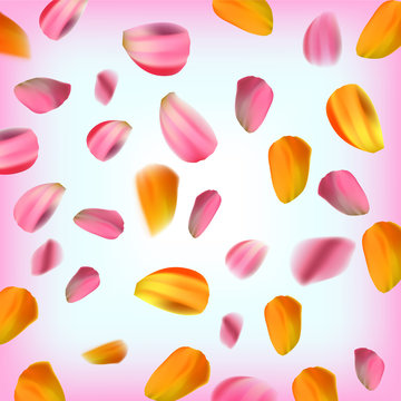 Spring background with falling petals of a tulip, Vector eps 10 illustration.