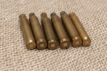Shells of live ammunition on the background fabric.