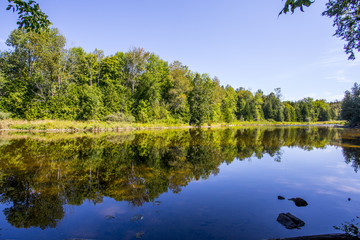 Fototapeta premium Still Reflection in Pond