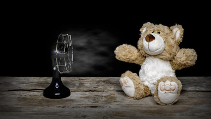 Teddy sitzt vor Ventilator