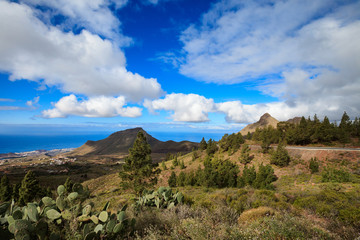 Beautiful Tenerife landscape - El Teide