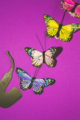butterflies and pipe on colored background
