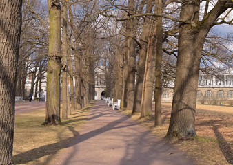 Дорожка в парке среди деревьев со скамейками весной в солнечный день в апреле.
