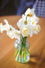 Daffodils on the table