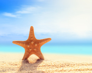 Obraz na płótnie Canvas Summer beach. Starfish on a beach sand against the background of the ocean.