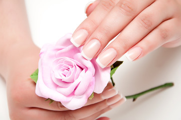 Obraz na płótnie Canvas delicate French manicure with a rose in hand