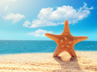 Summer beach.  Starfish on a beach sand against the background of the ocean.