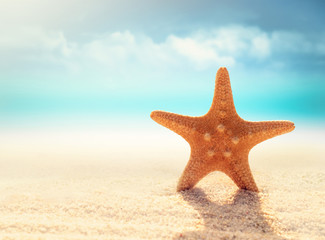 Fototapeta na wymiar Summer beach. Starfish on a beach sand against the background of the ocean.