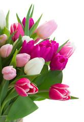 bouquet of  pink, purple and white  tulips