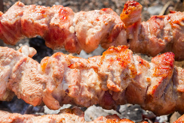 Meat skewer