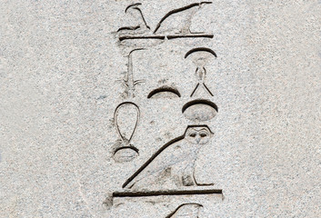 Egyptian hieroglyphics on the ancient granite slabs