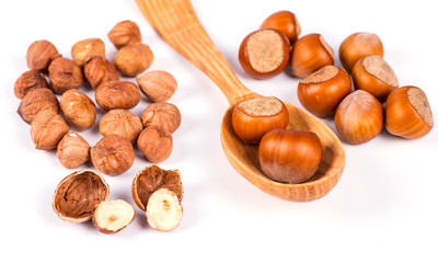 hazelnuts photo illustration