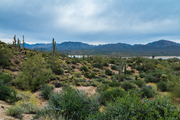 Hidden Treasures abound around Phoenix Arizona
