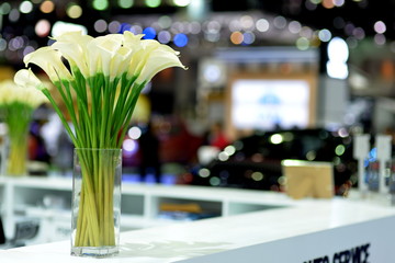 Many white lilies in vase with bokeh background