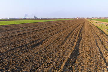 Fototapeta na wymiar Agricultural landsaple, arable crop field