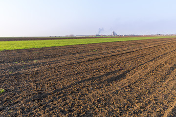 Agricultural landsaple, arable crop field