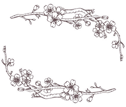 Vector frame with hand drawn graphic branches of a blossoming ch