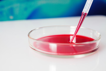 Petri dish with pipette. Blood test. World hemophilia day