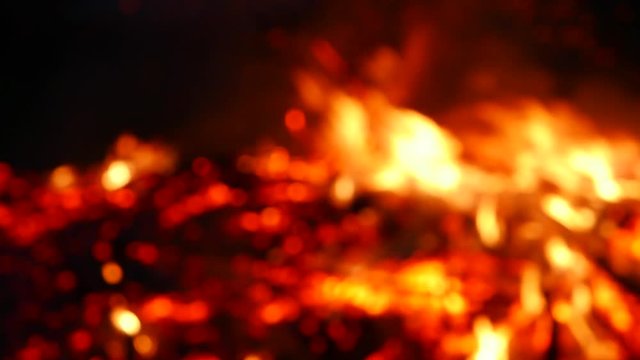 Fire, bonfire, forest fire, flames with blur defocus in slow motion x0.5. Violation of ecology, environmental pollution