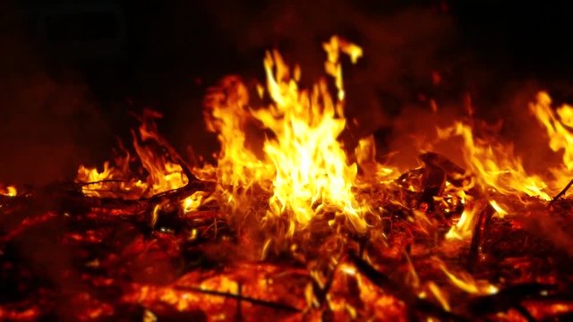 Fire, bonfire, forest fire, flames in slow motion x0.5. Violation of ecology, environmental pollution