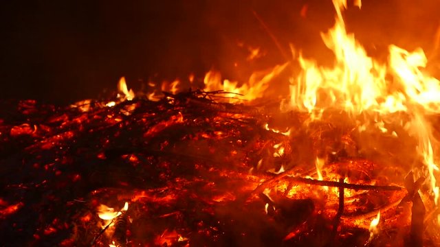 Fire, bonfire, forest fire, flames in slow motion x0.5. Violation of ecology, environmental pollution