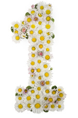 number 1, font for baby, natural flowers daisies